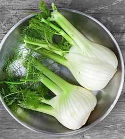 Fennel