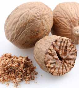 Nutmeg